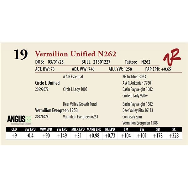Vermilion Unified N262