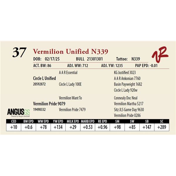Vermilion Unified N339