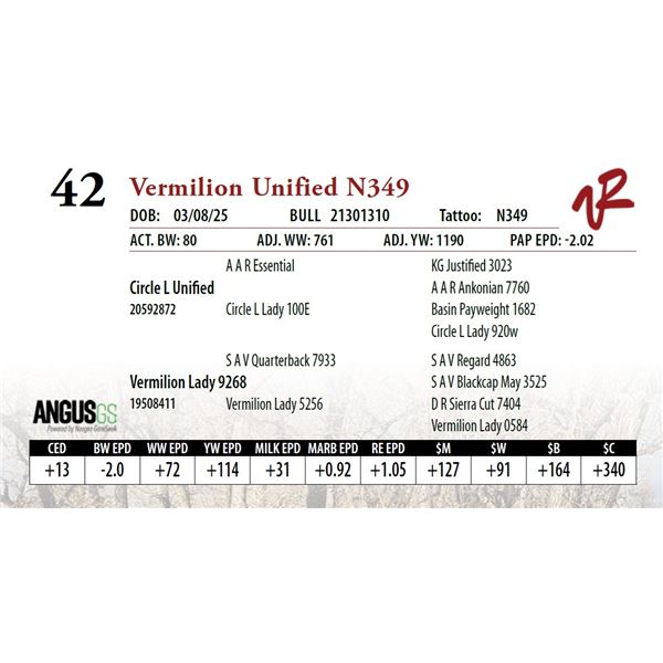 Vermilion Unified N349