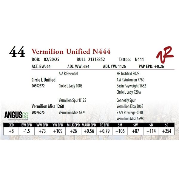 Vermilion Unified N444