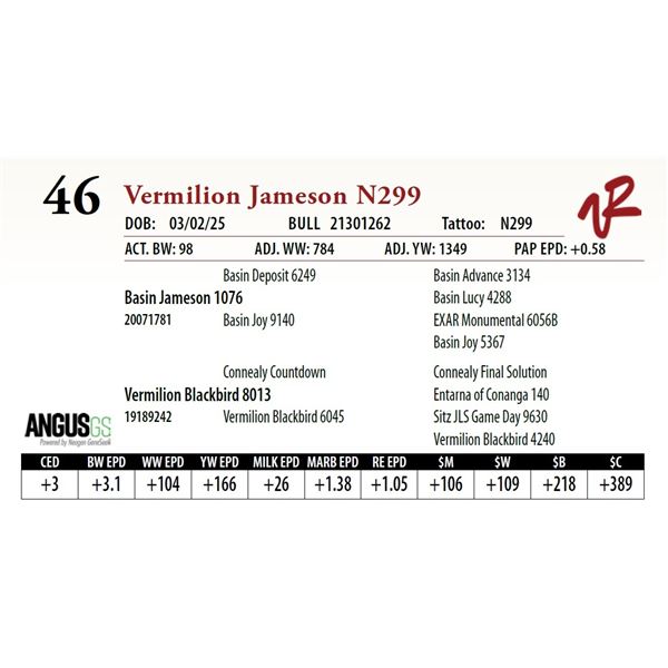 Vermilion Jameson N299