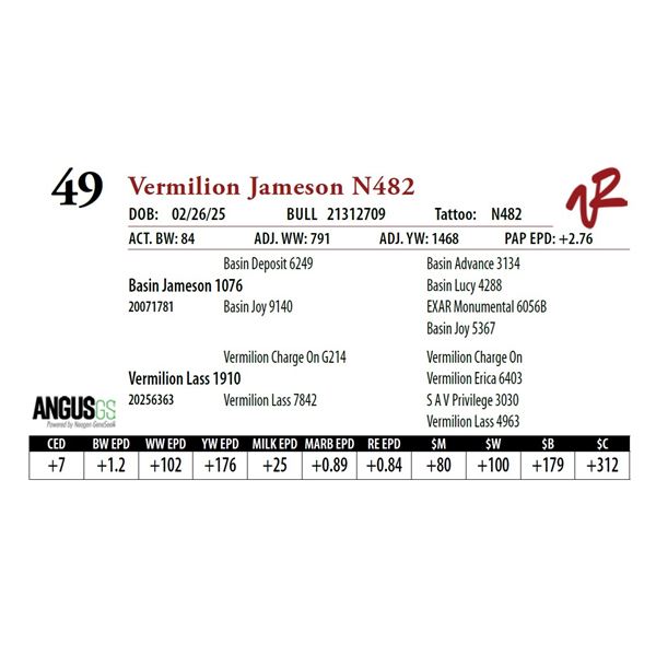 Vermilion Jameson N482