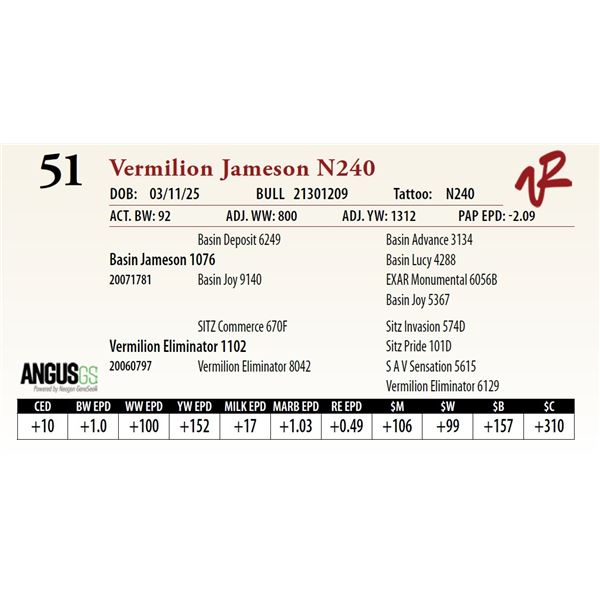 Vermilion Jameson N240