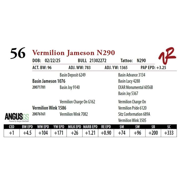 Vermilion Jameson N290