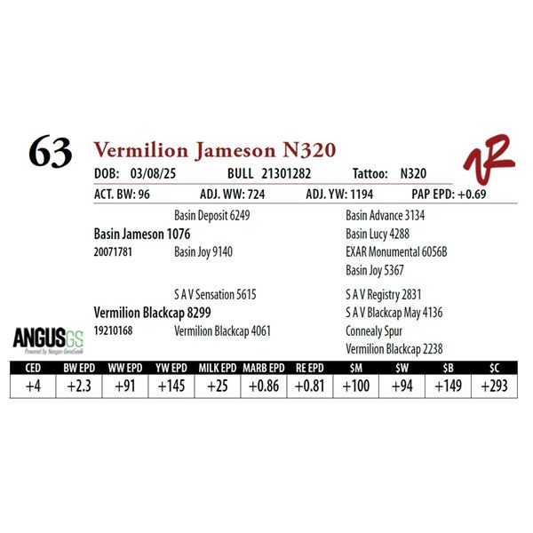Vermilion Jameson N320