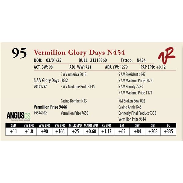 Vermilion Glory Days N454