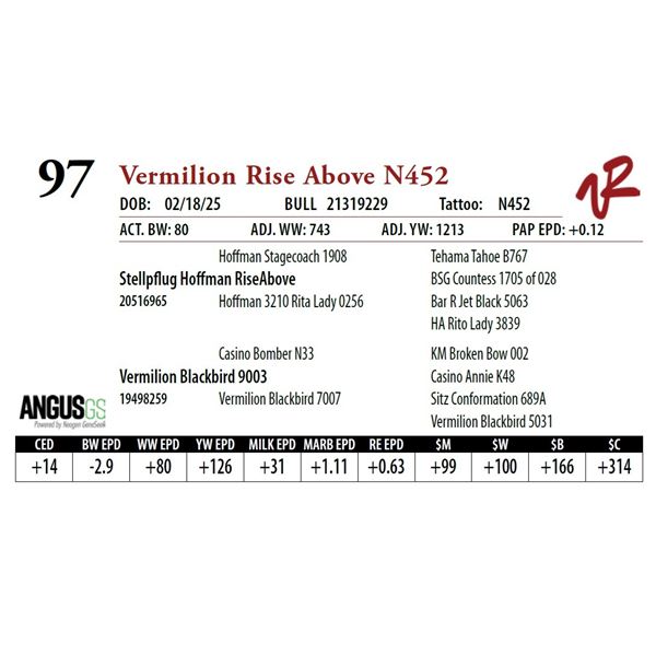 Vermilion Rise Above N452