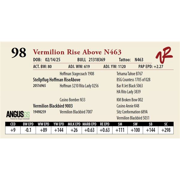 Vermilion Rise Above N463