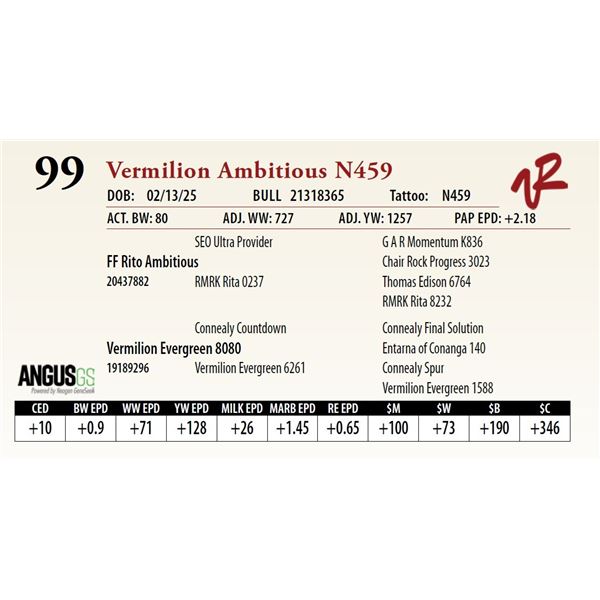 Vermilion Ambitious N459