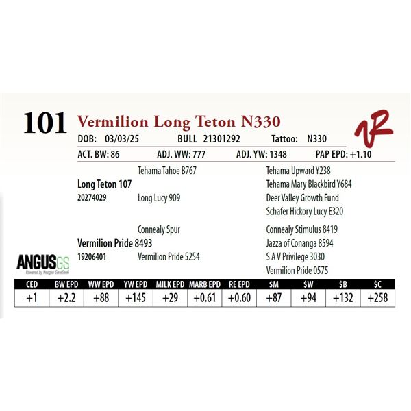 Vermilion Long Teton N330