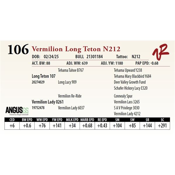 Vermilion Long Teton N212