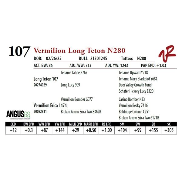 Vermilion Long Teton N280