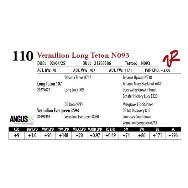 Vermilion Long Teton N093