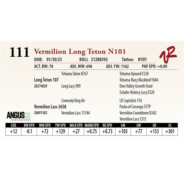 Vermilion Long Teton N101