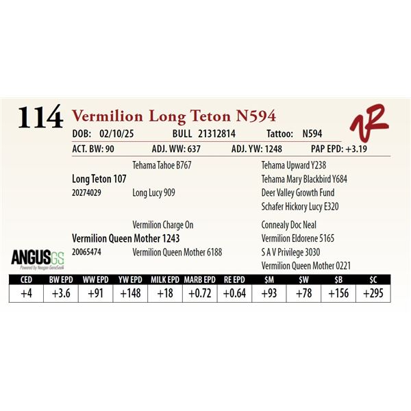 Vermilion Long Teton N594