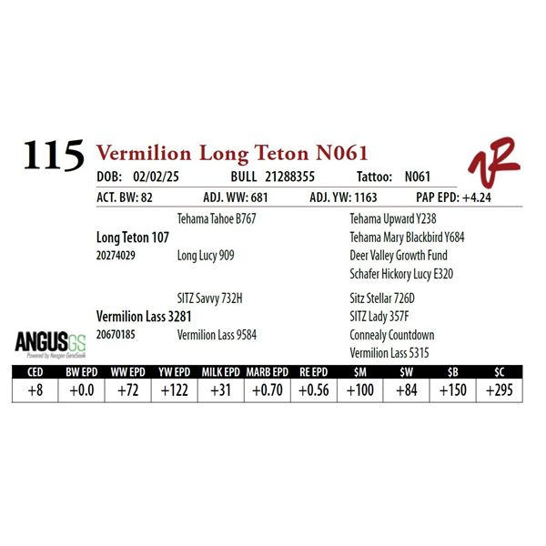Vermilion Long Teton N061