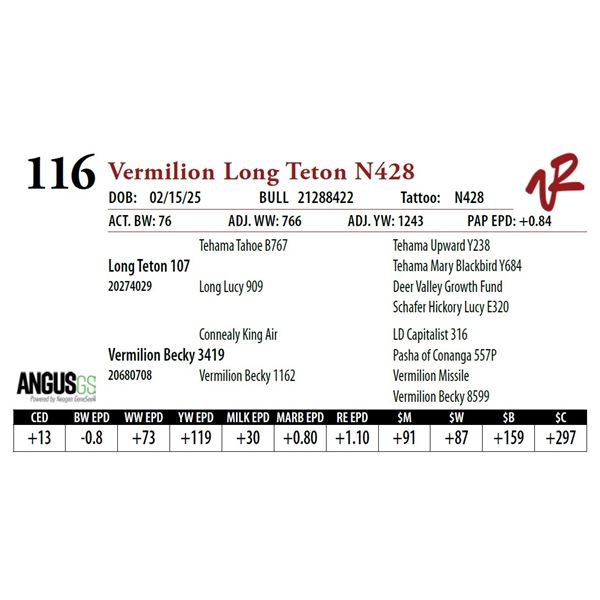 Vermilion Long Teton N428