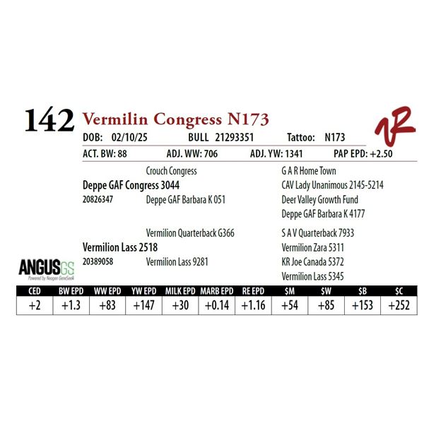 Vermilin Congress N173