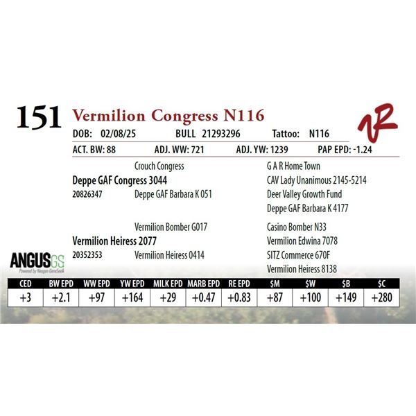 Vermilion Congress N116