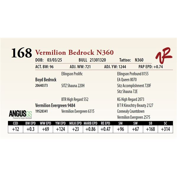 Vermilion Bedrock N360