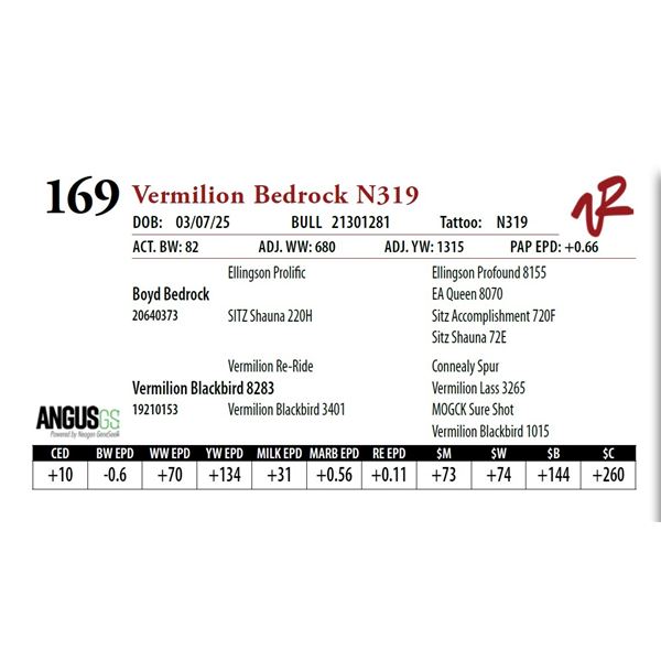 Vermilion Bedrock N319