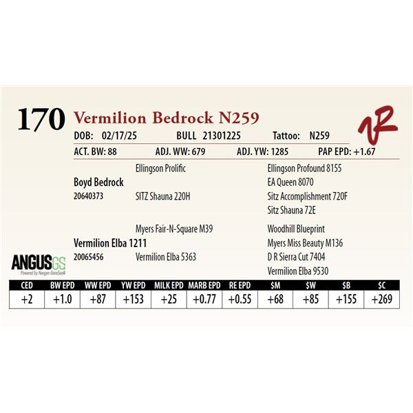 Vermilion Bedrock N259