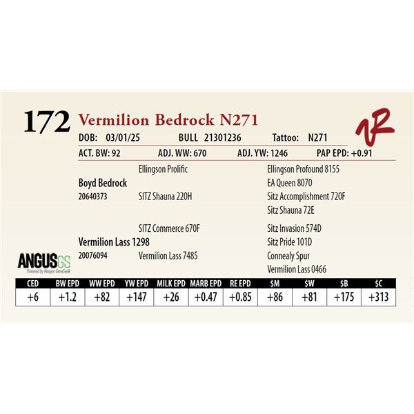 Vermilion Bedrock N271