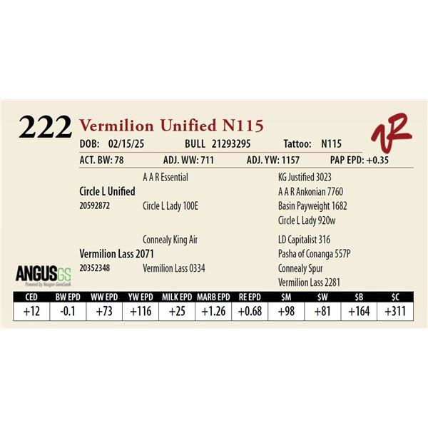 Vermilion Unified N115