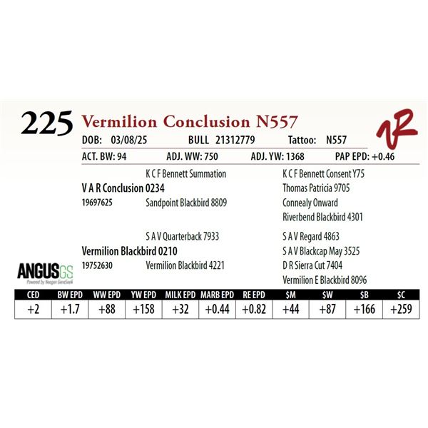 Vermilion Conclusion N557