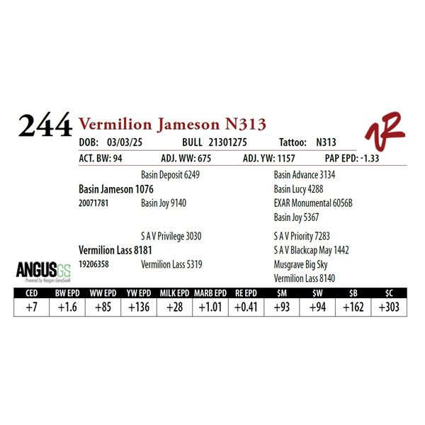 Vermilion Jameson N313