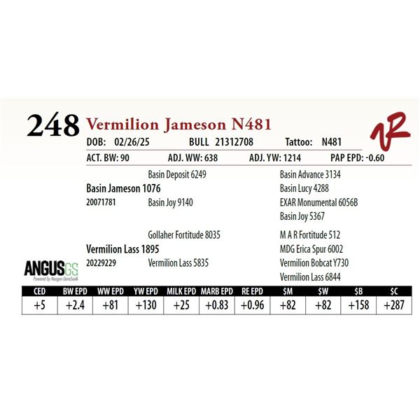 Vermilion Jameson N481