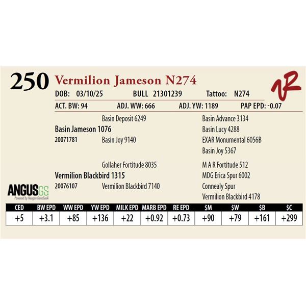 Vermilion Jameson N274