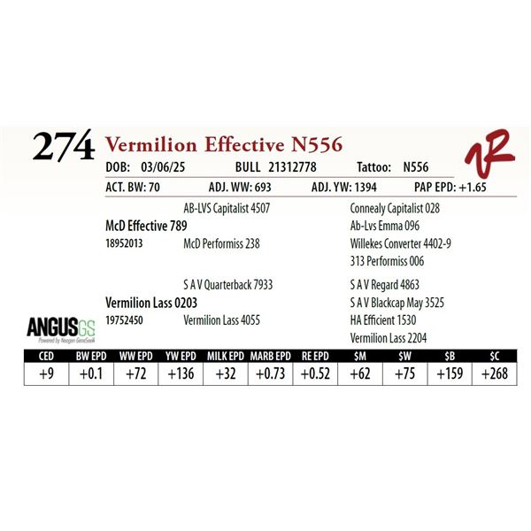 Vermilion Effective N556