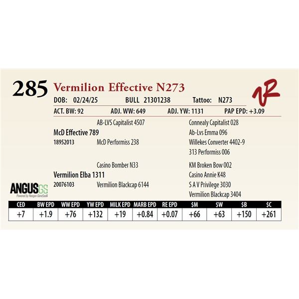 Vermilion Effective N273