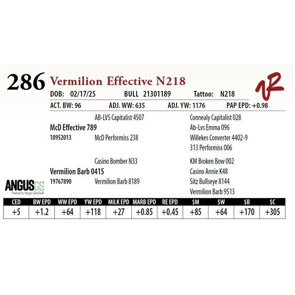 Vermilion Effective N218