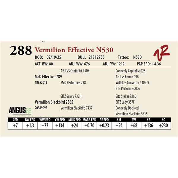 Vermilion Effective N530