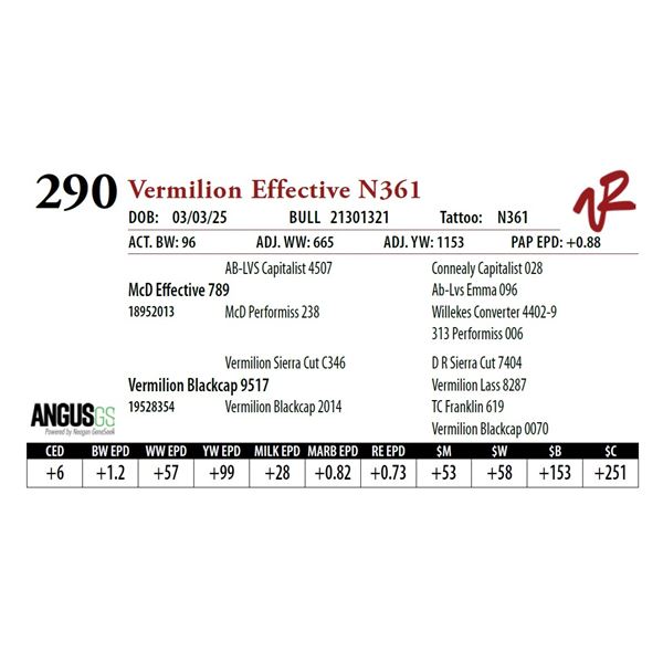 Vermilion Effective N361
