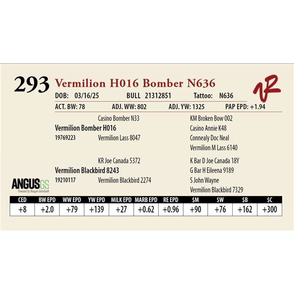Vermilion H016 Bomber N636