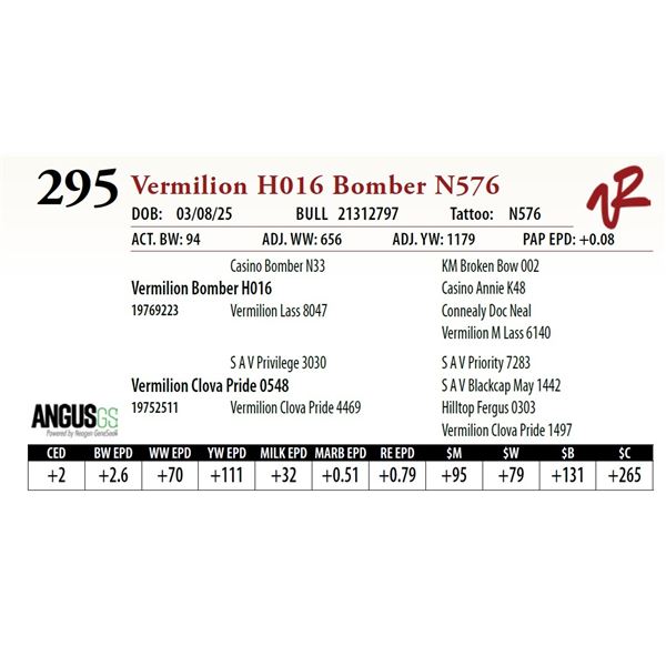 Vermilion H016 Bomber N576