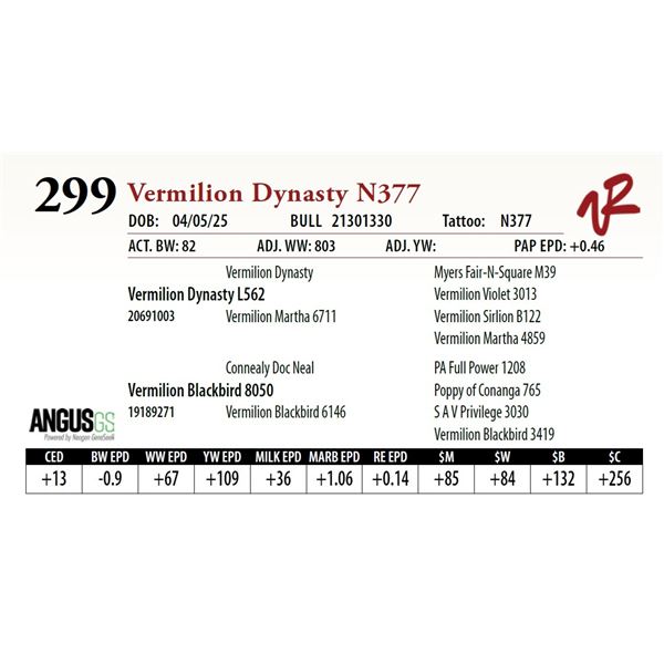 Vermilion Dynasty N377
