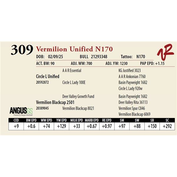 Vermilion Unified N170