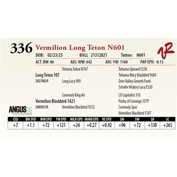 Vermilion Long Teton N601