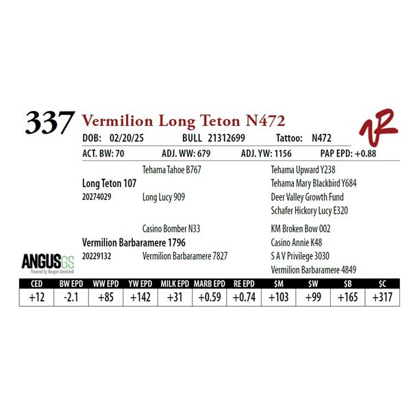 Vermilion Long Teton N472