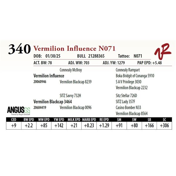 Vermilion Influence N071