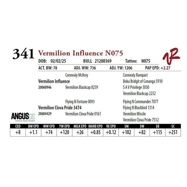 Vermilion Influence N075