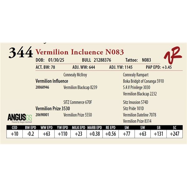 Vermilion Incluence N083