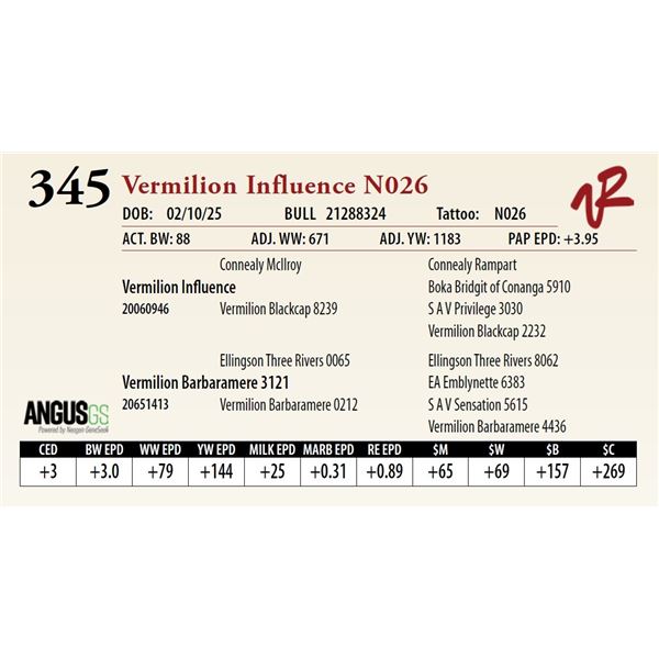 Vermilion Influence N026