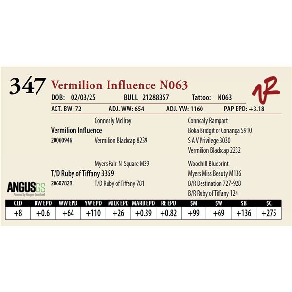 Vermilion Influence N063