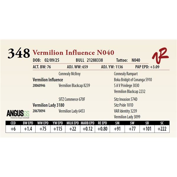 Vermilion Influence N040