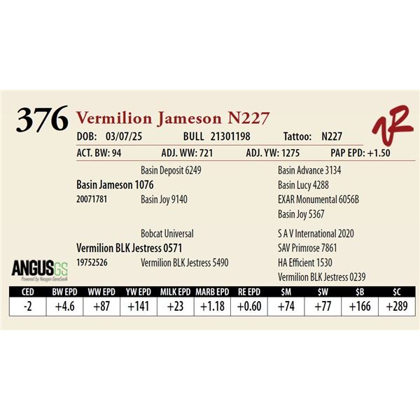 Vermilion Jameson N227